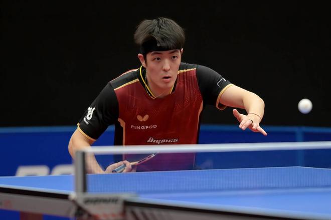 樊振东给我 樊振东给我