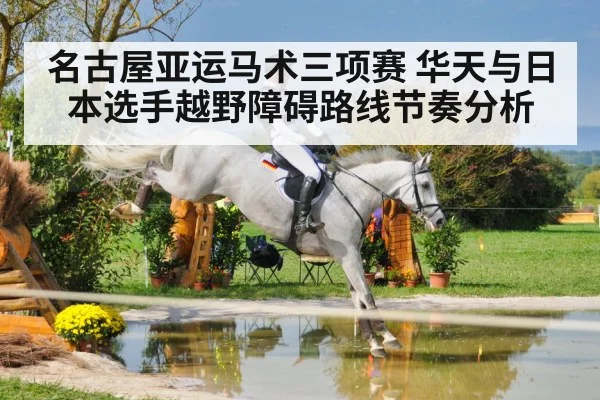 equestrian cross country horse jumping